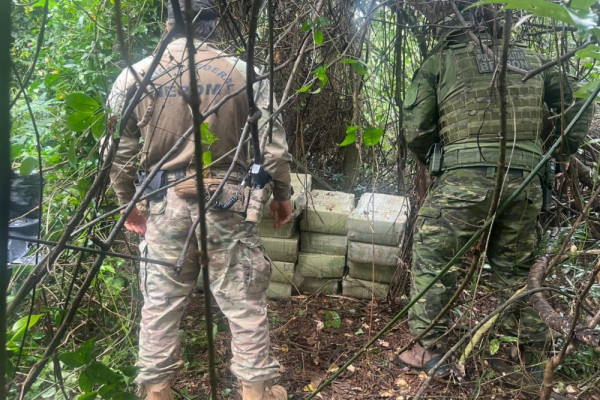 Mais de 270 kg de maconha são apreendidos na região do lago de Itaipu