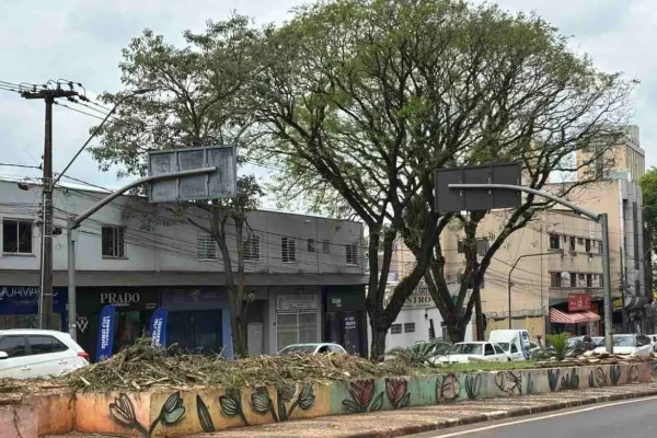 Obra da Avenida JK: o sacrifício de árvores em Foz do Iguaçu