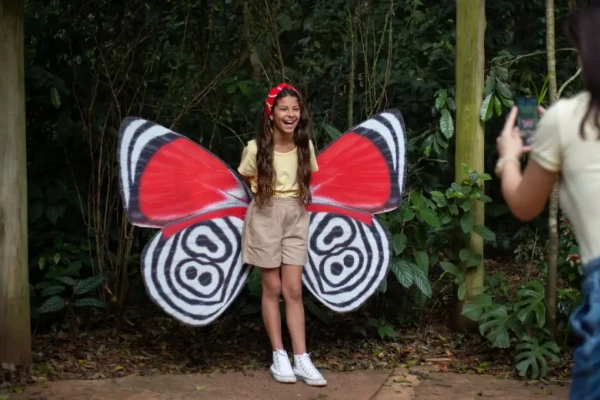 Parque das Aves oferece atividade gratuita de observação de borboletas