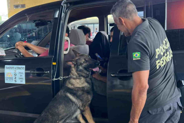 PF reforça fiscalização na Ponte da Amizade com apoio de cães farejadores