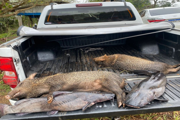 Caça ilegal, pesca predatória e rinha de galos: PF amplia ofensiva contra crimes ambientais