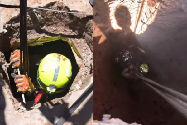 Bombeiros resgatam gato que caiu em fossa de 5 metros no bairro Morumbi