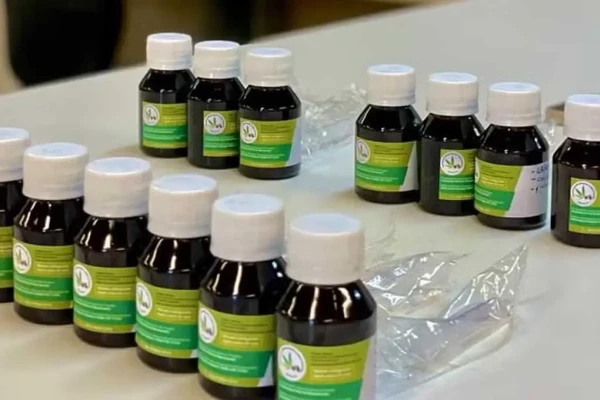 Filhos de pacientes com Alzheimer poderão ser voluntários em estudo com cannabis medicinal