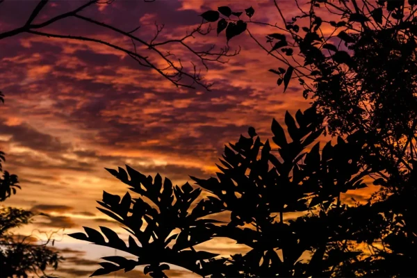 Turismo conectado, Agenda do agro, Energia no Oeste e Exportações em alta