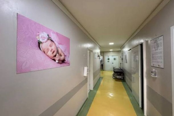 Itamed afirma que partos continuam e negocia com Estado solução para crise financeira